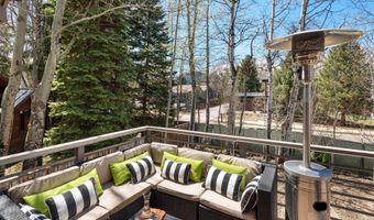725 Castle Creek Dr, Aspen, CO 81611