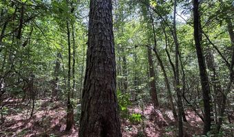 North Palestine Road, Baldwyn, MS 38824