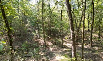 7 N Hall Rd, Antlers, OK 74523