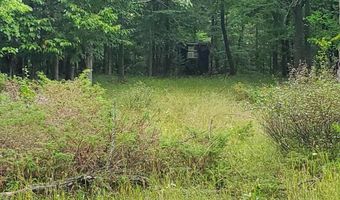 V/L 20AC Monaghan Point Road, Alpena, MI 49707