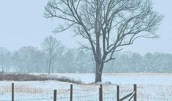 447 County Road 215, Abbeville, MS 38601