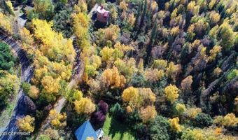 L9 & L10 Feodosia Drive, Anchorage, AK 99516