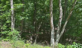Lot 1 & 2 Rt. 1 Muddy Creek Mountain, Alderson, WV 24910