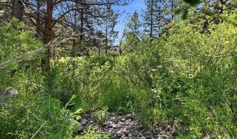 Spiritwood Ln, Bellvue, CO 80512
