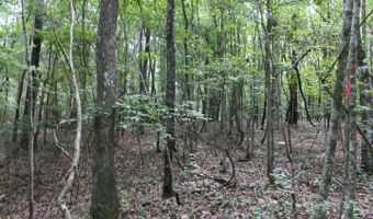 00 Pinola Braxton Rd, Braxton, MS 39044