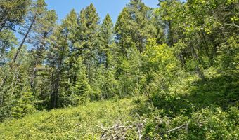 LOT 22 TRAIL RIDGE ROAD, Alpine, WY 83128