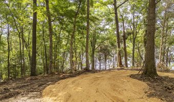 NELLS KNOB Cv, Bath Springs, TN 38311