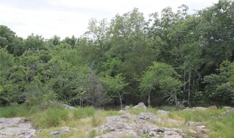 3751 CR 1313 County Road 1313 Crane Lake Rd, Arcadia, MO 63621
