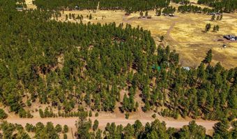 61 Co Rd 2266, Alpine, AZ 85920