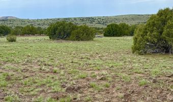 85 Co Rd 8128, Concho, AZ 85924