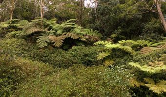 75-1305 KEOPU MAUKA Dr, Holualoa, HI 96725