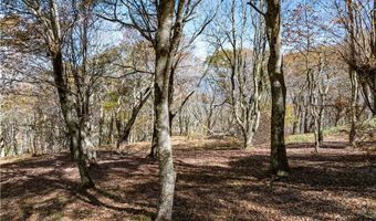 Rocky Parkway lot 49, Banner Elk, NC 28604