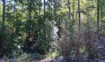 Lot 17 Hillside Dr, Anacoco, LA 71403