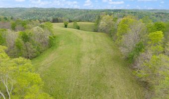 371 Big Branch Rd, Beattyville, KY 41311