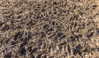 0 Thomas Rd, Altoona, KS 66710