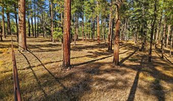 25319 US Hwy 191, Alpine, AZ 85920