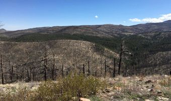 3600 Moondance Way, Bellvue, CO 80512