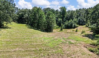 425 Hartwick Ln, Atkins, AR 72823
