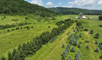 3723 W Five Mile Rd, Allegany, NY 14706