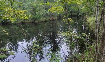 00 Coot Adams Rd, Ashford, AL 36312