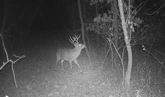 TBD 194th Avenue, Argyle, IA 52619