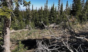 115 S Olympic Dr, Brian Head, UT 84719