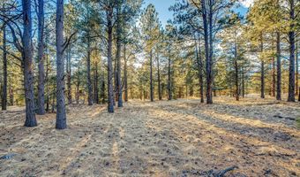 66 Mora Ranch Rd, Angel Fire, NM 87710