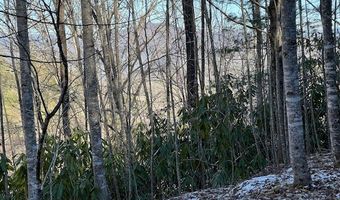 621 Round Top Rd Lot 3B, Almond, NC 28702