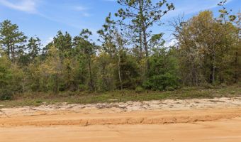 Channel Drive, Alford, FL 32420