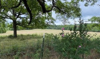 925 Peace Valley Rd, Ash Flat, AR 72513
