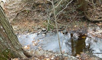 290 Angels Pass Dr Lot 1, Bastian, VA 24314