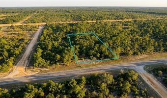 02-2 N 11-0083-00P0-0310 Fairview Rd, Alford, FL 32420