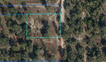 NE 105ST, Archer, FL 32618