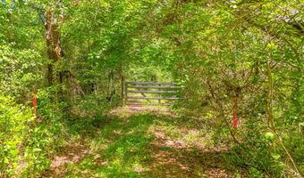 93 Acres Dell Rd, Bainbridge, GA 39819