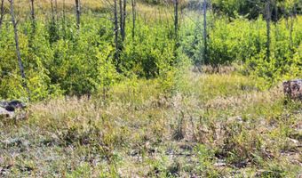 0 Crystal Mountain Rd, Bellvue, CO 80512