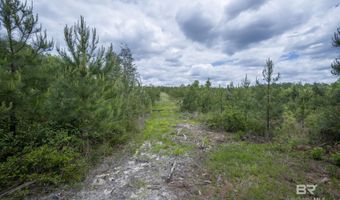 Phillipsville Road, Bay Minette, AL 36507