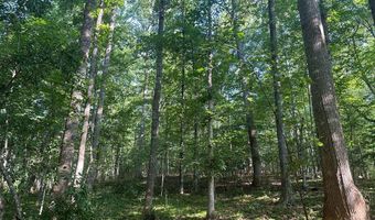 Lot 2B Gidsville Road, Amherst, VA 24521