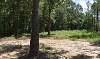 6 Gray Academy Rd Lot 6, Ashland, MS 38603
