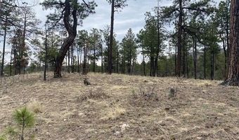 000 COUNTY ROAD 2193, Alpine, AZ 85920