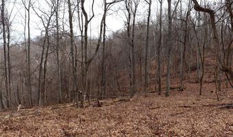 Route 12 Road, Alum Creek, WV 25003