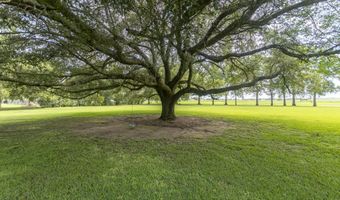 11022 Anthony Rd, Abbeville, LA 70510