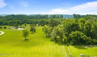 Tract 1 Mill Creek Rd, Andersonville, TN 37705