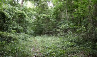 Whiskey Creek Lane, Batesville, AR 72501