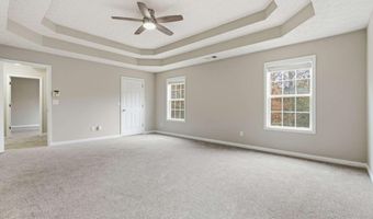 125 Nelson Oaks Dr, Ball Ground, GA 30107