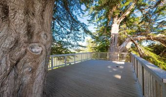 32550 Navarro Ridge Rd, Albion, CA 95410