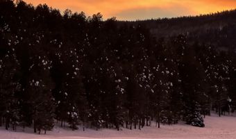 13 Woodlands, Angel Fire, NM 87710