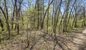 County Road 1687, Alba, TX 75410