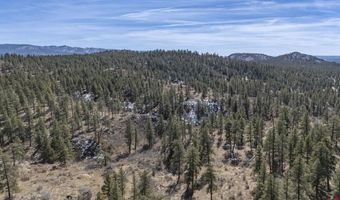 TBD Lot 5 Beaver Creek Ranch Drive, Bayfield, CO 81122