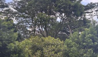 RAILRD RD, Keaau, HI 96749