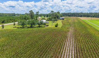 596 Teakwood Rd, Alma, GA 31510